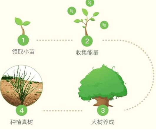 蚂蚁森林能量保护罩在哪兑换？有哪些注意事项？