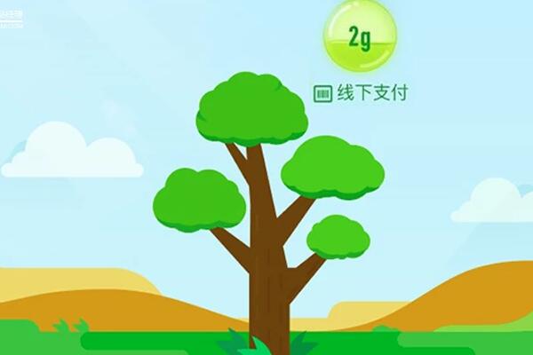 蚂蚁森林能量多久消失 怎么获得能量呢？