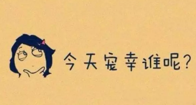 包养网站